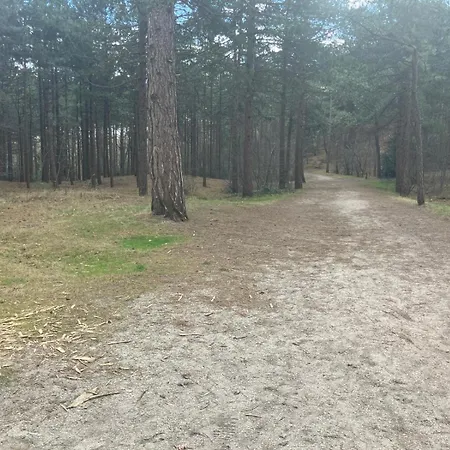 Bij Ons Op De Hoep. Schagen