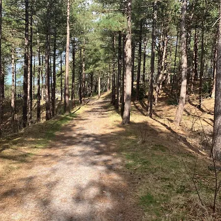 Bed & Breakfast Bij Ons Op De Hoep. 3*