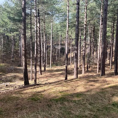 Oda ve Kahvaltı Bij Ons Op De Hoep. Schagen