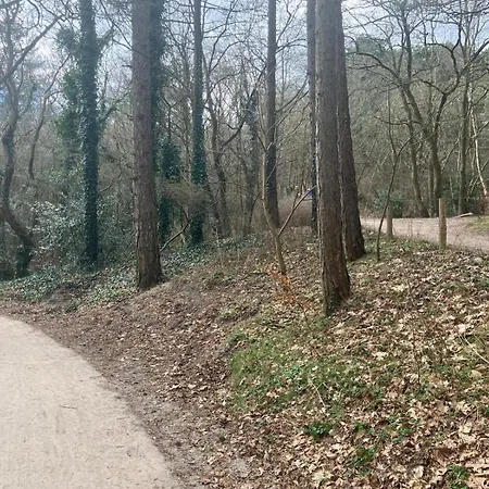 Oda ve Kahvaltı Bij Ons Op De Hoep. Schagen